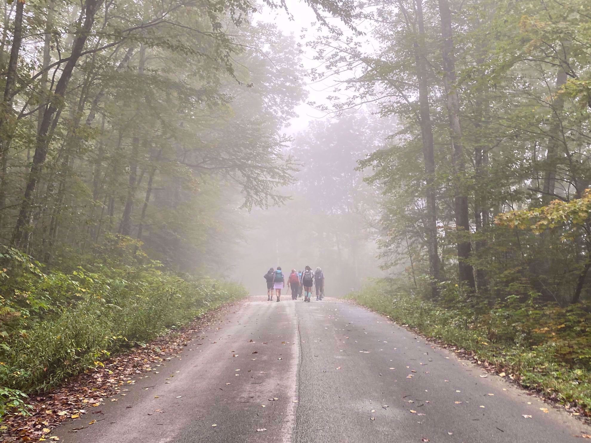Foggy Day in Vermont Foggy Day in Vermont