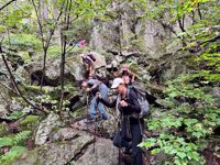 Vermont Hiking Vermont Hiking