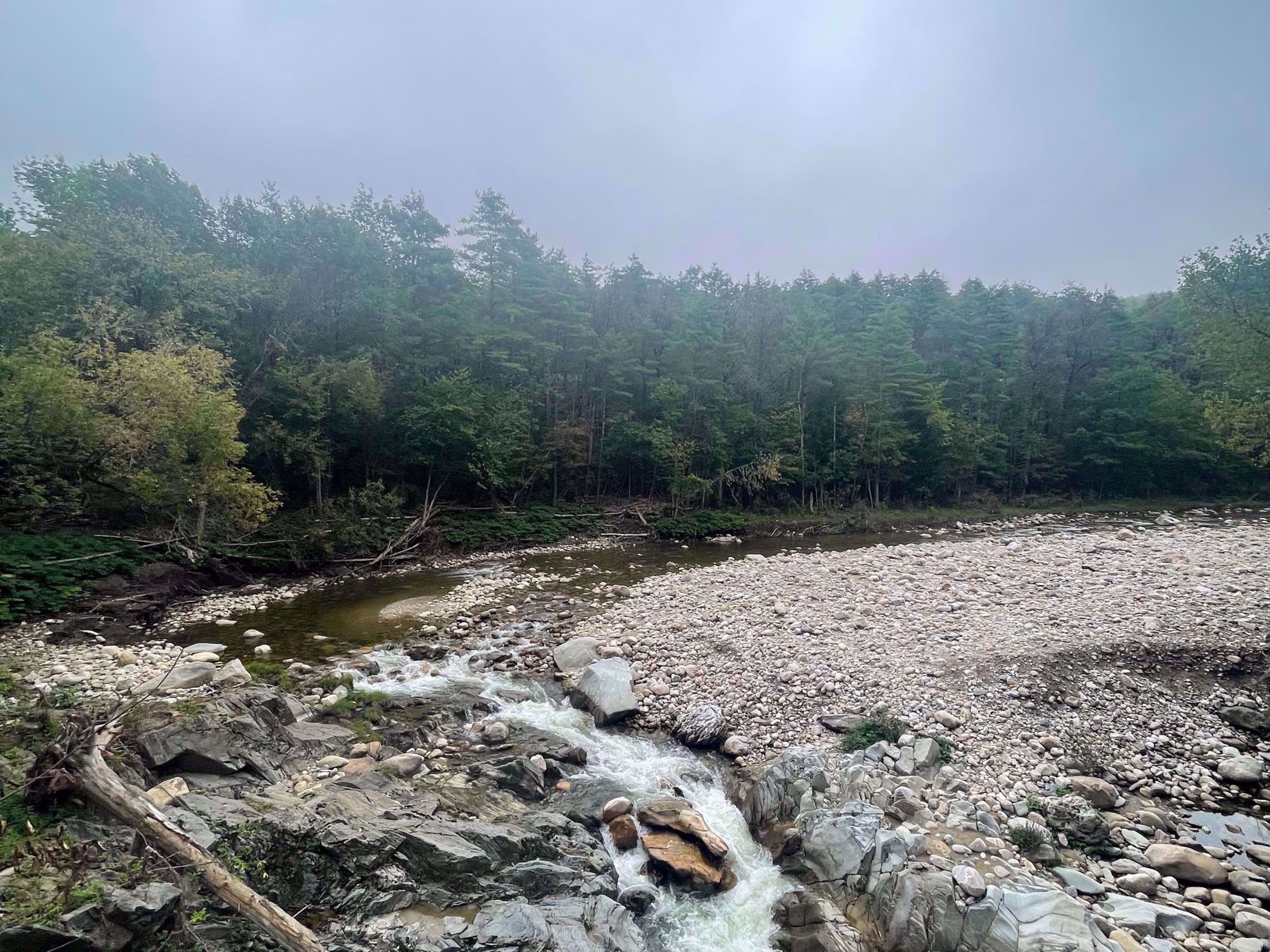 Vermont Nature