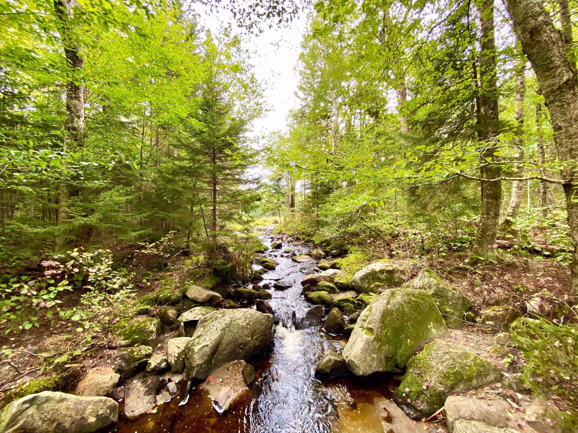 Vermont Water Stream
