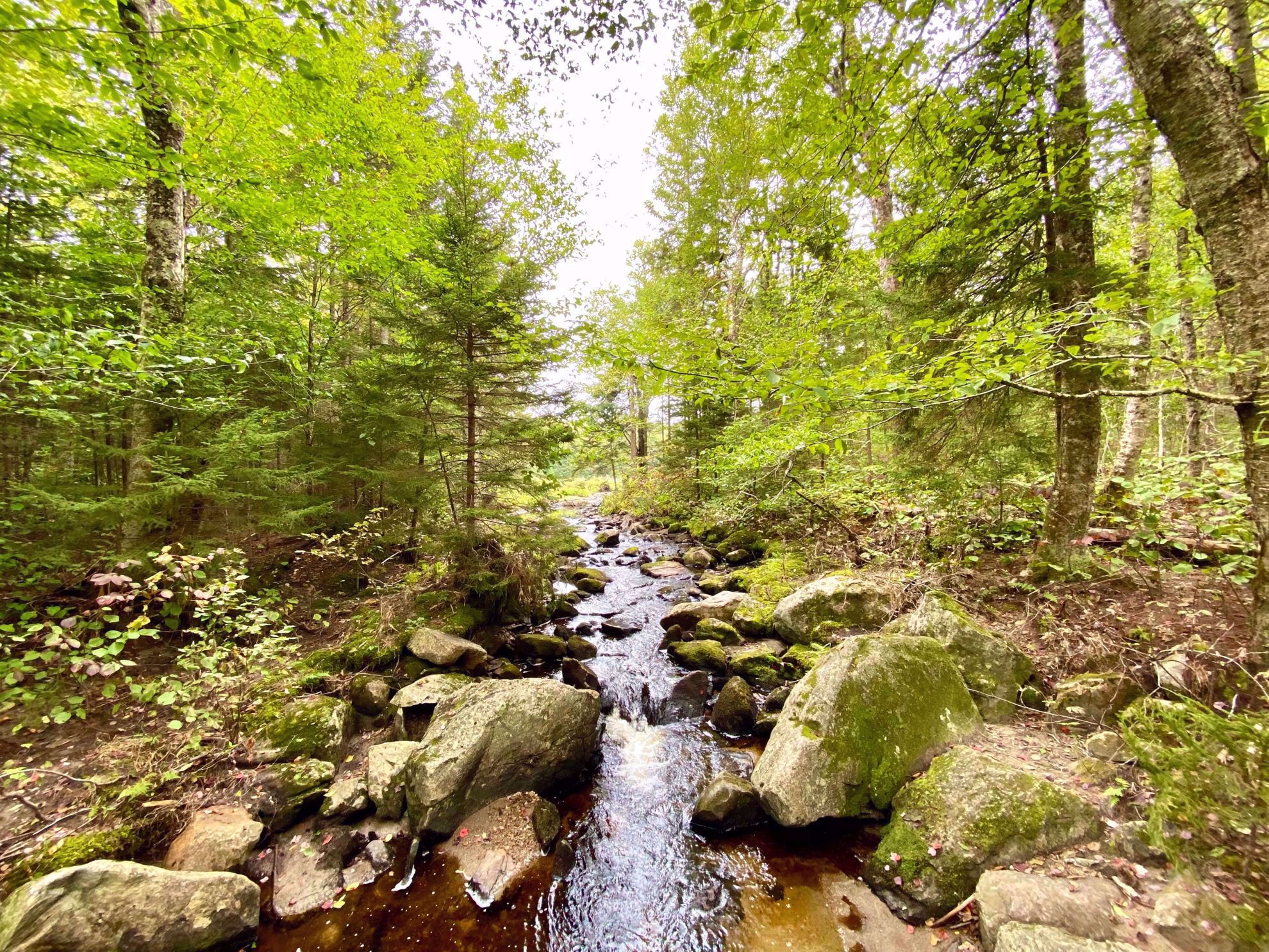 Vermont Water Stream Vermont Water Stream