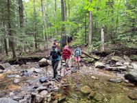 Vermont Woods Hiking Vermont Woods Hiking