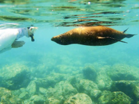 Picture of Explore the Galapagos Islands by Land Explore the Galapagos Islands by Land
