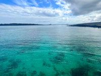 Picture of Explore the Galapagos Islands by Land Explore the Galapagos Islands by Land