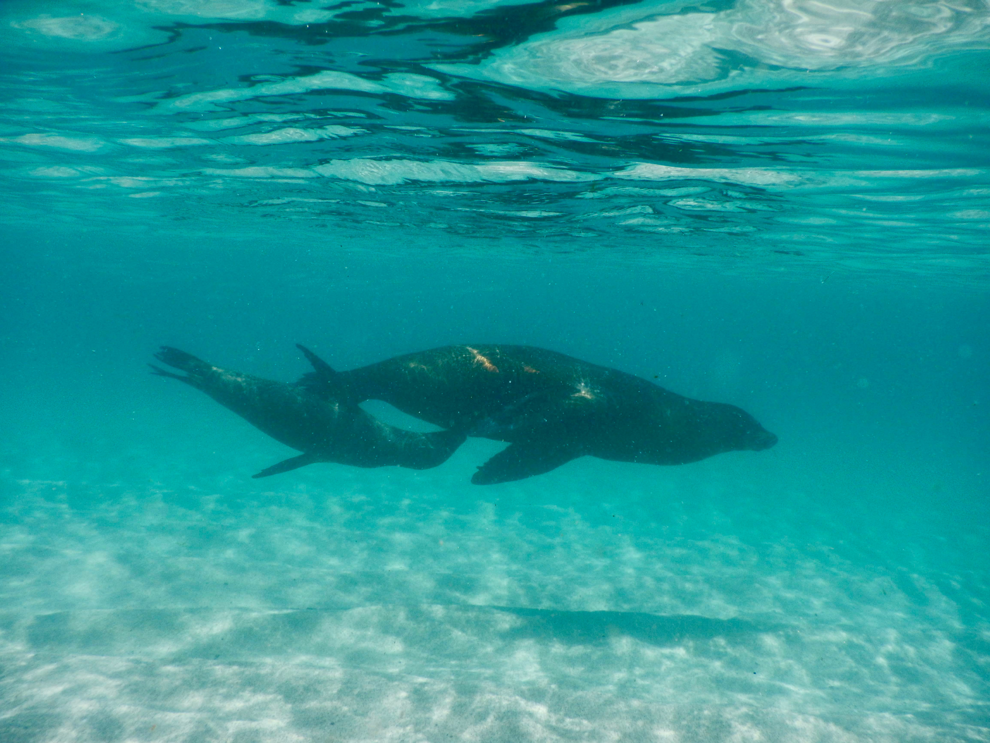 Picture of Explore the Galapagos Islands by Land Explore the Galapagos Islands by Land