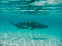 Picture of Explore the Galapagos Islands by Land Explore the Galapagos Islands by Land