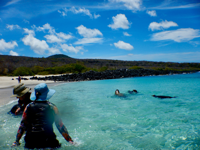 Picture of Explore the Galapagos Islands by Land Explore the Galapagos Islands by Land