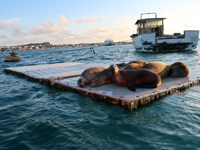 Picture of Explore the Galapagos Islands by Land Explore the Galapagos Islands by Land