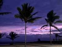 Picture of Explore the Galapagos Islands by Land Explore the Galapagos Islands by Land