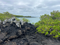 Picture of Explore the Galapagos Islands by Land Explore the Galapagos Islands by Land