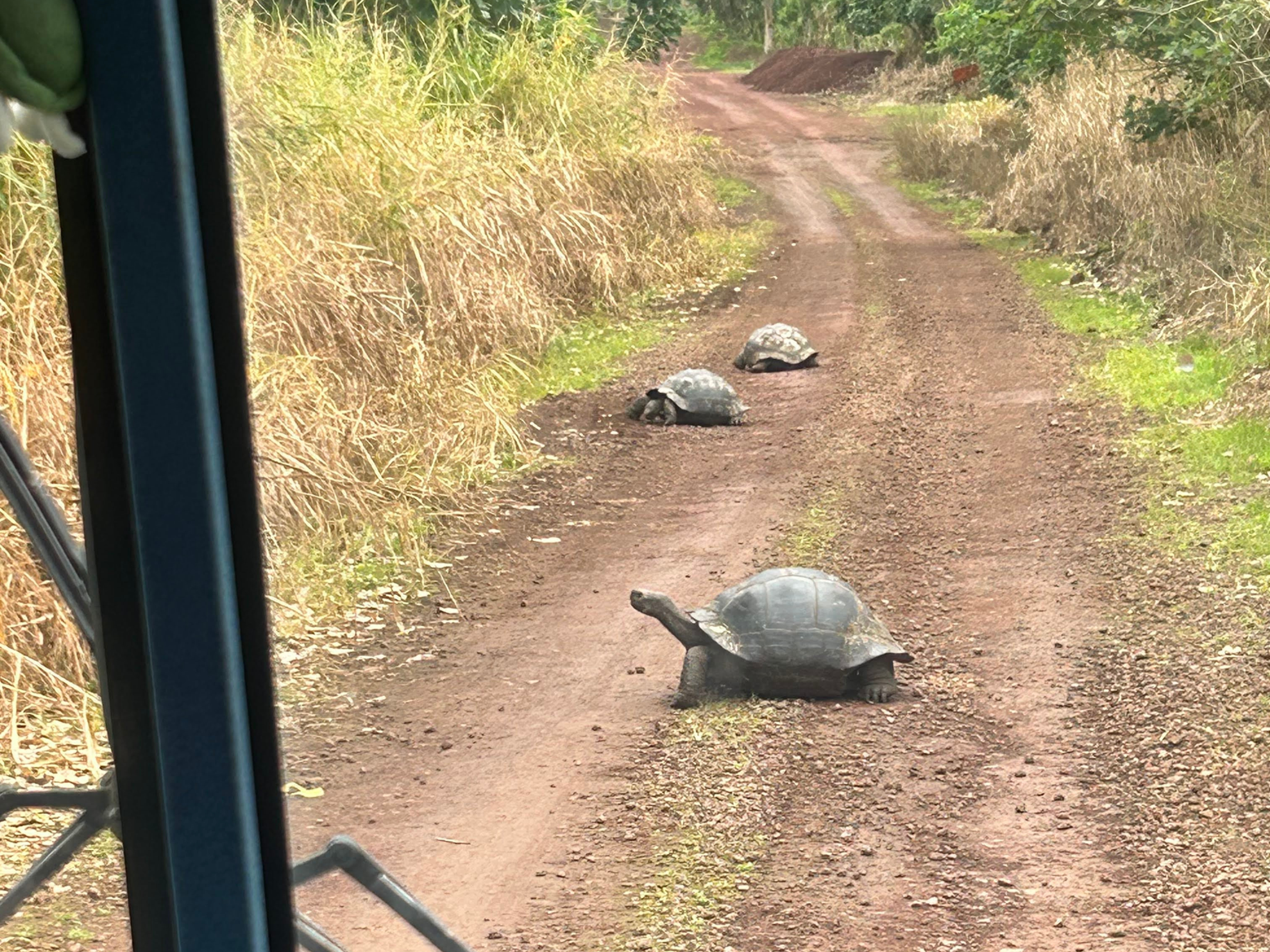 Picture of Explore the Galapagos Islands by Land Explore the Galapagos Islands by Land