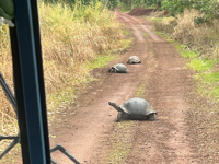 Picture of Explore the Galapagos Islands by Land Explore the Galapagos Islands by Land