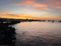Picture of Explore the Galapagos Islands by Land Explore the Galapagos Islands by Land