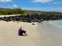 Picture of Explore the Galapagos Islands by Land Explore the Galapagos Islands by Land