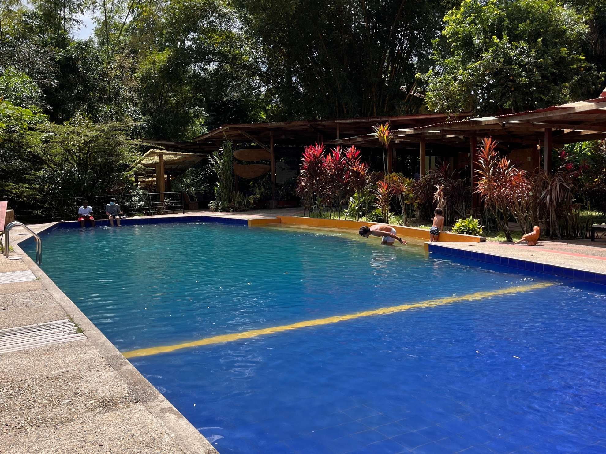 Picture of Ecuador's Amazon Jungle Adventure Ecuador's Amazon Jungle Adventure