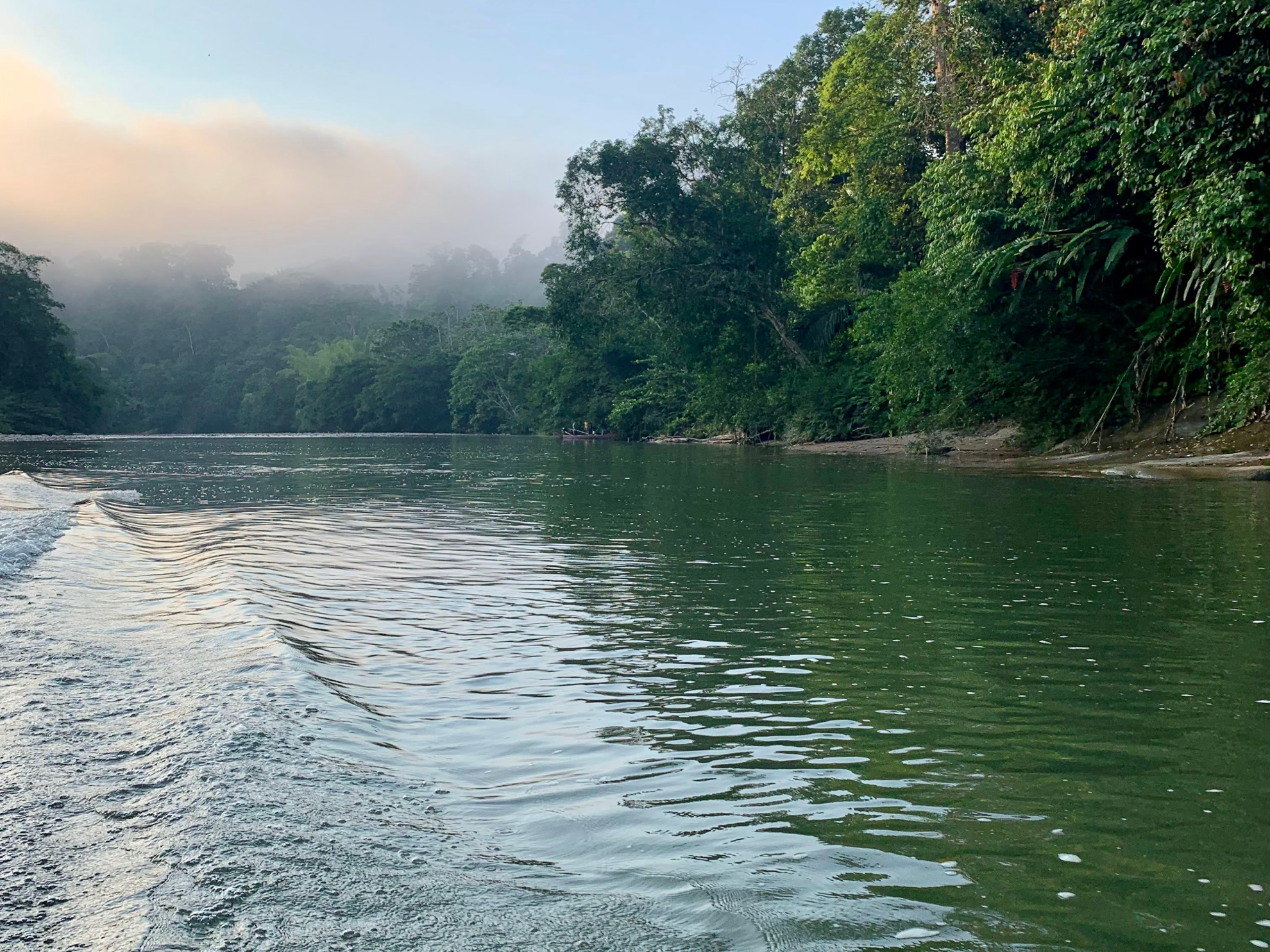 Picture of Ecuador's Amazon Jungle Adventure Ecuador's Amazon Jungle Adventure