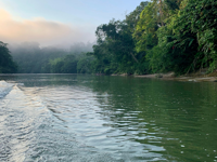 Picture of Ecuador's Amazon Jungle Adventure Ecuador's Amazon Jungle Adventure