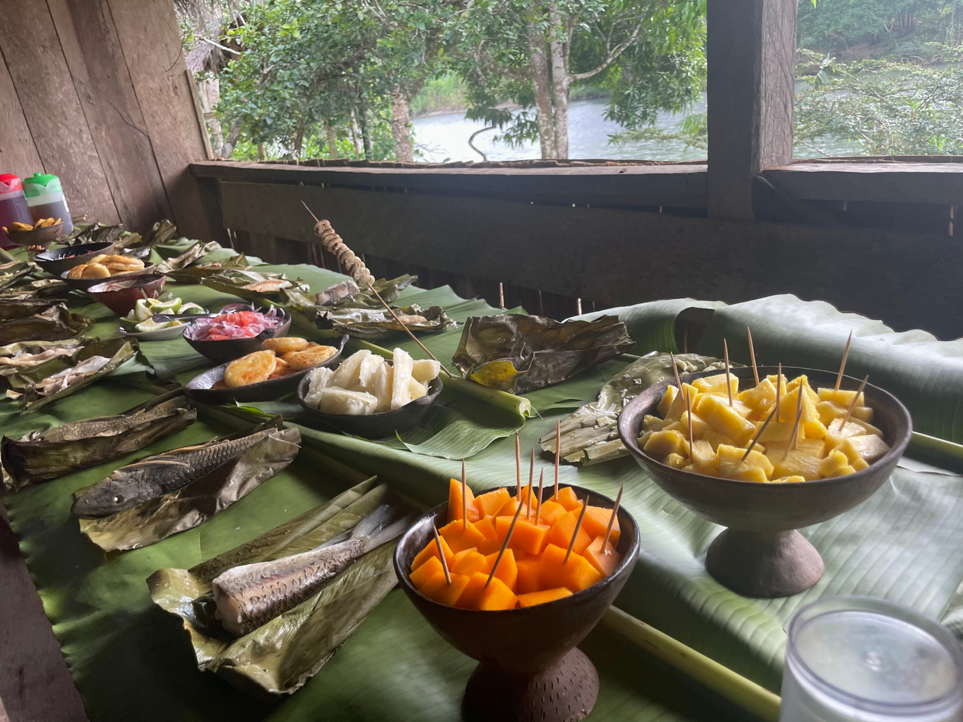 Picture of Ecuador's Amazon Jungle Adventure Ecuador's Amazon Jungle Adventure