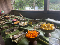Picture of Ecuador's Amazon Jungle Adventure Ecuador's Amazon Jungle Adventure