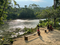 Picture of Ecuador's Amazon Jungle Adventure Ecuador's Amazon Jungle Adventure