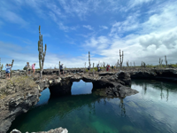 Picture of Explore the Galapagos Islands by Land Explore the Galapagos Islands by Land