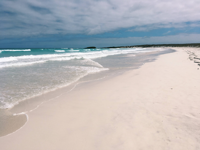 Picture of Explore the Galapagos Islands by Land Explore the Galapagos Islands by Land