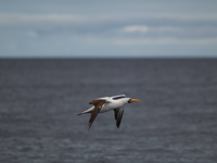 Picture of Explore the Galapagos Islands by Land Explore the Galapagos Islands by Land