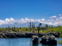 Picture of Explore the Galapagos Islands by Land Explore the Galapagos Islands by Land