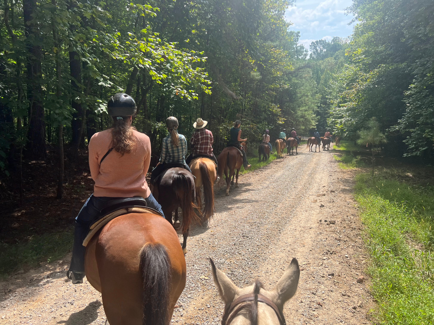 APAA horseback riding.