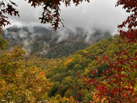 FIGS Fall in Smokies FIGS Fall in Smokies