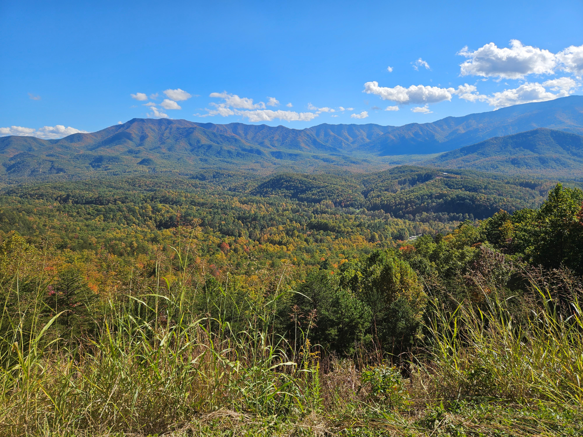 FIGS Smoky Mountains FIGS Smoky Mountains