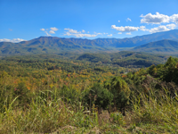 FIGS Smoky Mountains FIGS Smoky Mountains