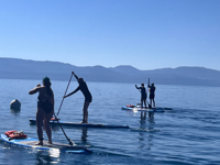 LTWW Paddle Board LTWW Paddle Board
