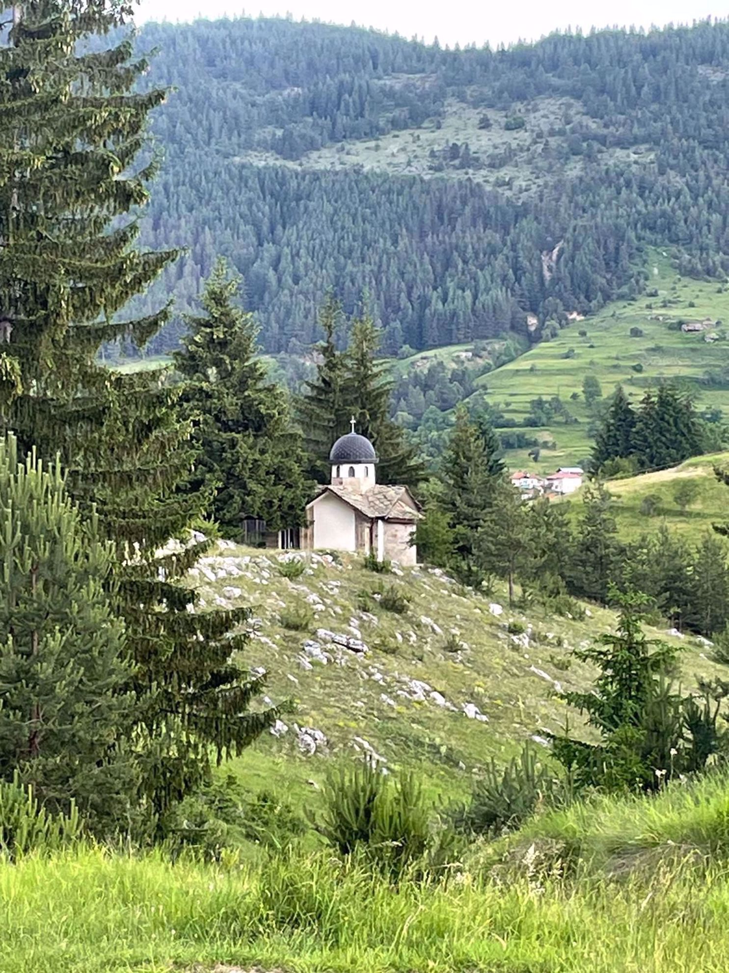Picture of PRIVATE - Bulgaria and Birds - CUSTOM Picture of PRIVATE - Bulgaria and Birds - CUSTOM