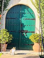Picture of PRIVATE - Portugal Hiking - CUSTOM Picture of PRIVATE - Portugal Hiking - CUSTOM