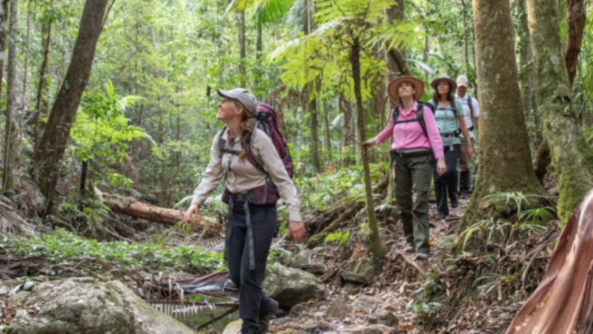 AUST Forest hiking