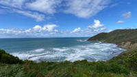 AUST Ocean_Ferns_Imag AUST Ocean_Ferns_Imag