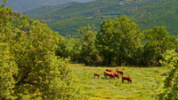 Picture of Mainland Greece: Trekking the Northern Pindos Mountains Picture of Mainland Greece: Trekking the Northern Pindos Mountains