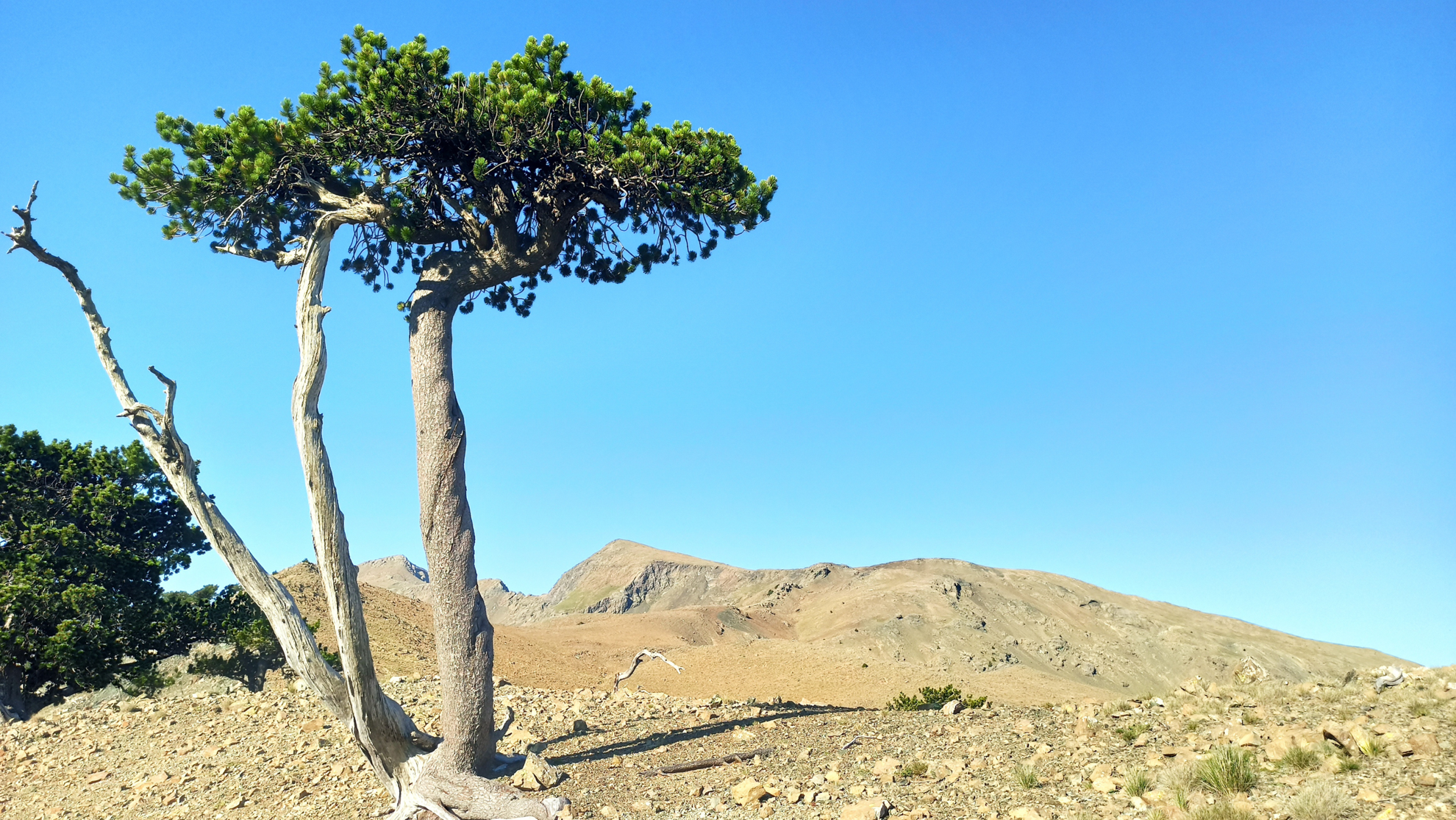 Picture of Mainland Greece: Trekking the Northern Pindos Mountains Picture of Mainland Greece: Trekking the Northern Pindos Mountains