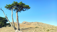 Picture of Mainland Greece: Trekking the Northern Pindos Mountains Picture of Mainland Greece: Trekking the Northern Pindos Mountains