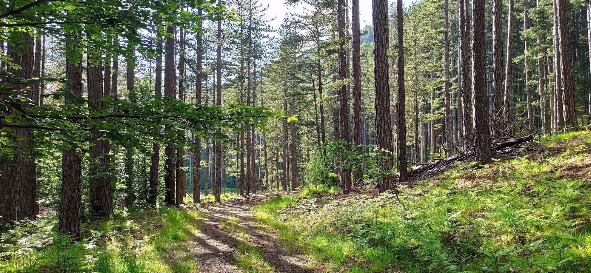 Picture of Mainland Greece: Trekking the Northern Pindos Mountains