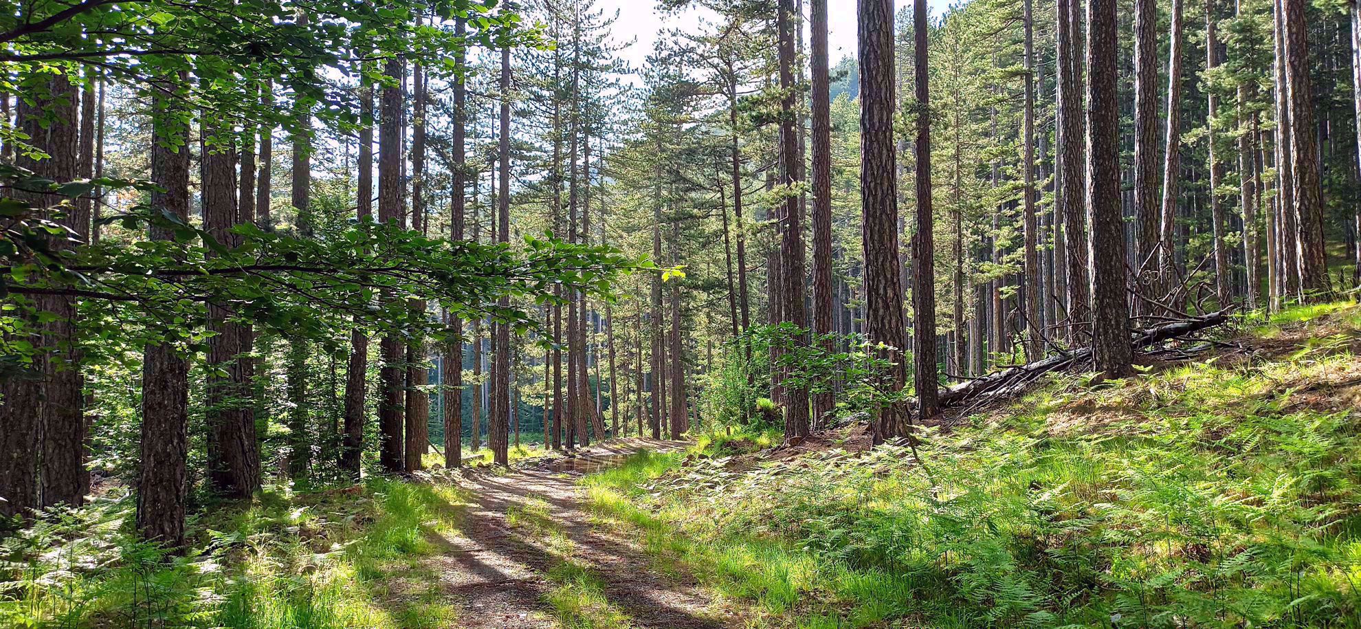 Picture of Mainland Greece: Trekking the Northern Pindos Mountains Picture of Mainland Greece: Trekking the Northern Pindos Mountains
