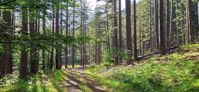 Picture of Mainland Greece: Trekking the Northern Pindos Mountains Picture of Mainland Greece: Trekking the Northern Pindos Mountains