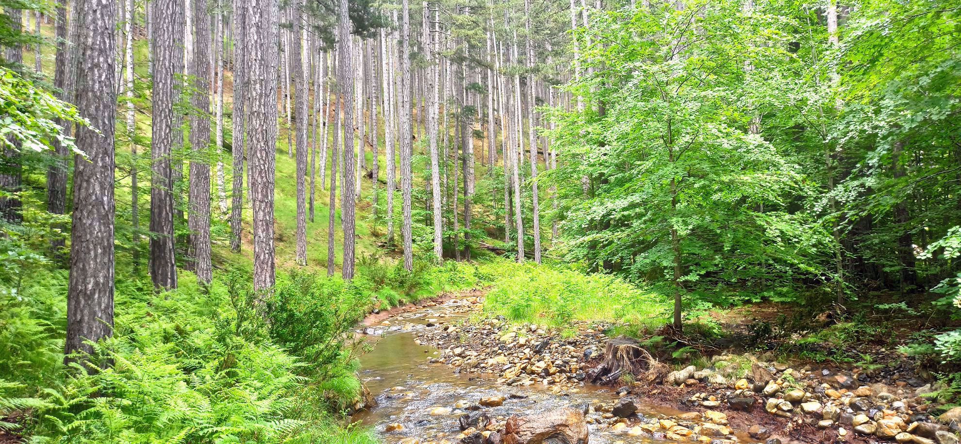Picture of Mainland Greece: Trekking the Northern Pindos Mountains Picture of Mainland Greece: Trekking the Northern Pindos Mountains
