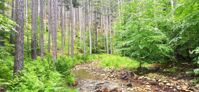 Picture of Mainland Greece: Trekking the Northern Pindos Mountains Picture of Mainland Greece: Trekking the Northern Pindos Mountains