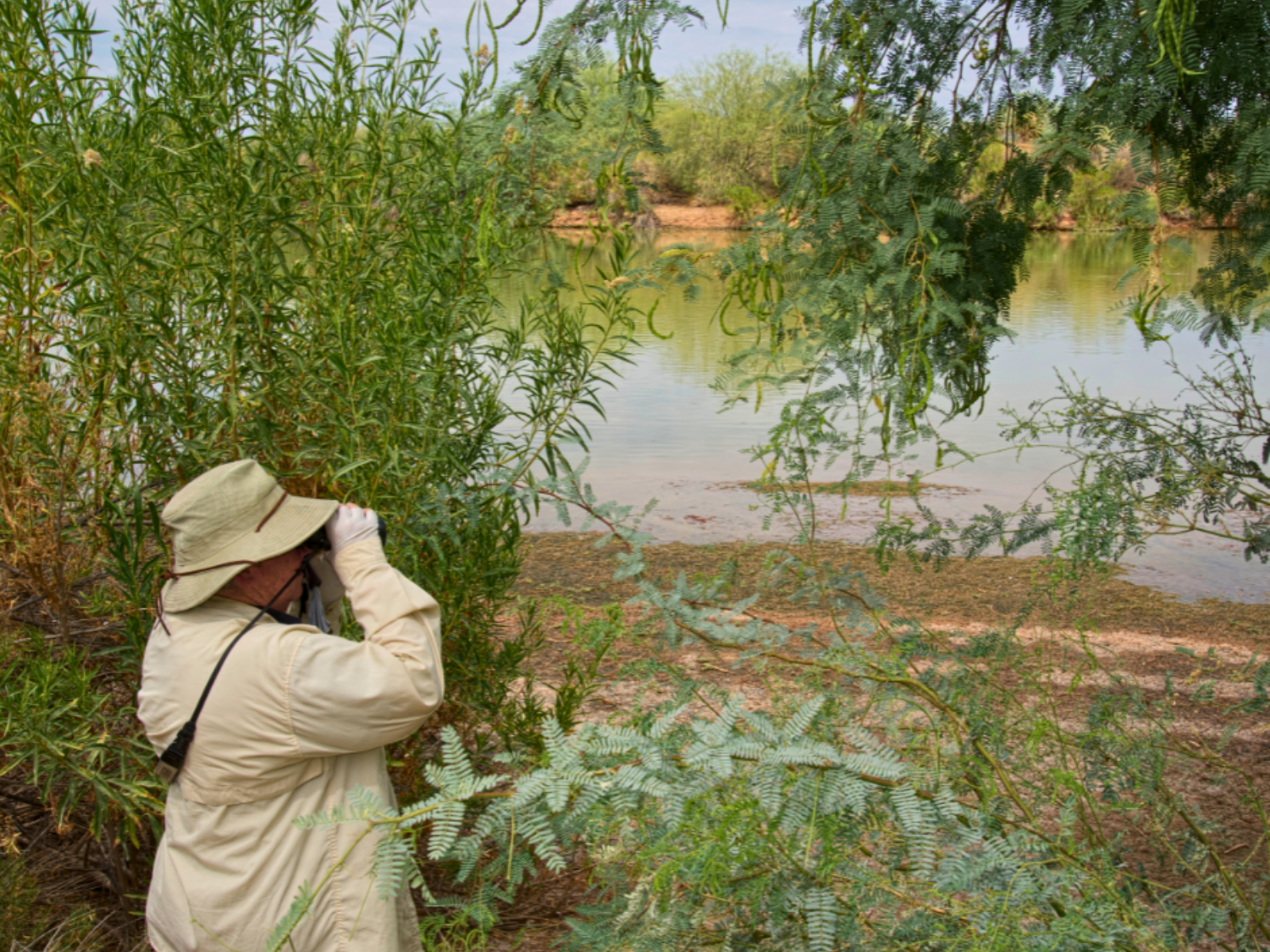 Picture of Desert Melodies: Intro to Birding and Hiking in Arizona Picture of Desert Melodies: Intro to Birding and Hiking in Arizona