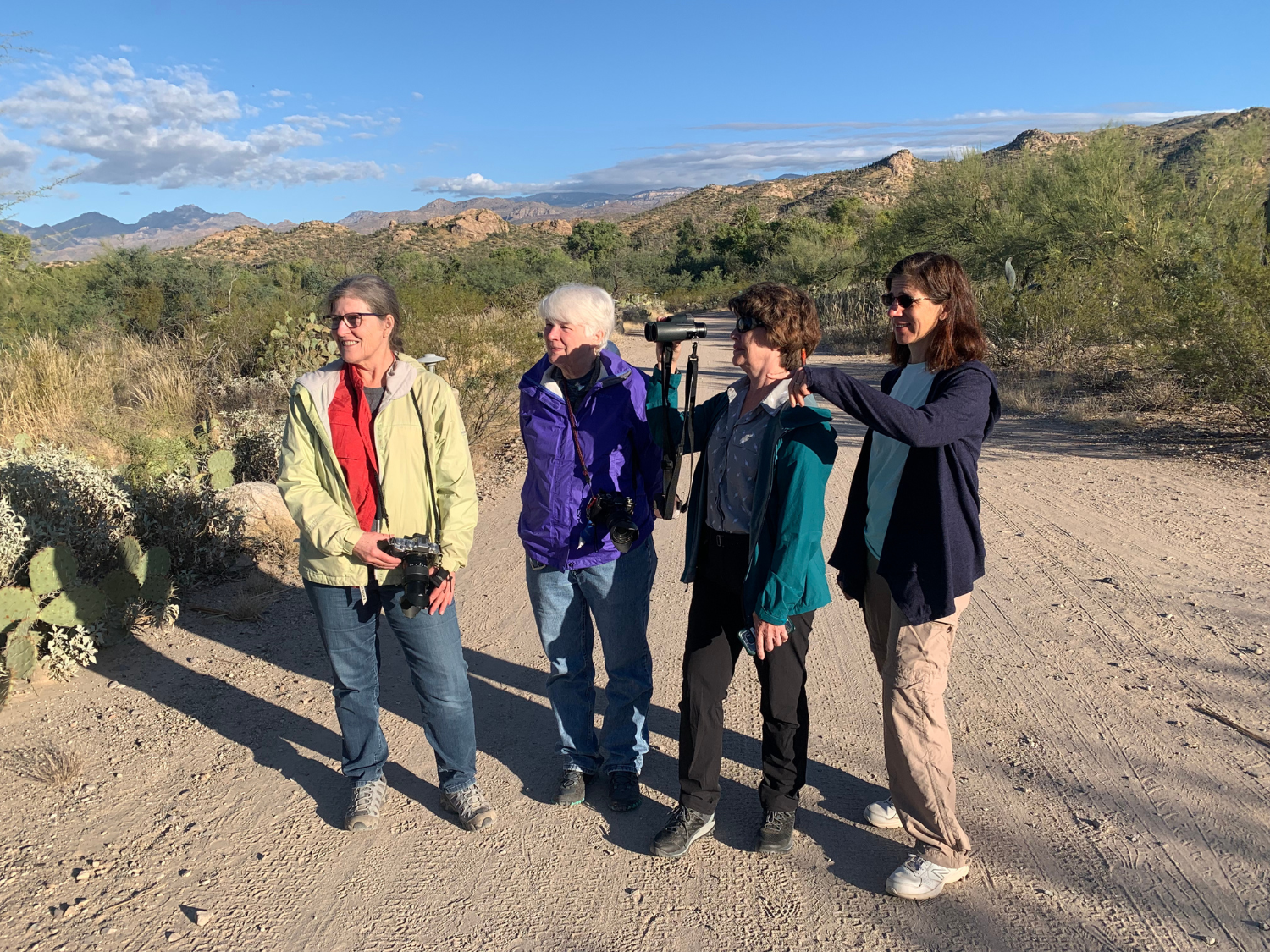 Picture of Desert Melodies: Intro to Birding and Hiking in Arizona
