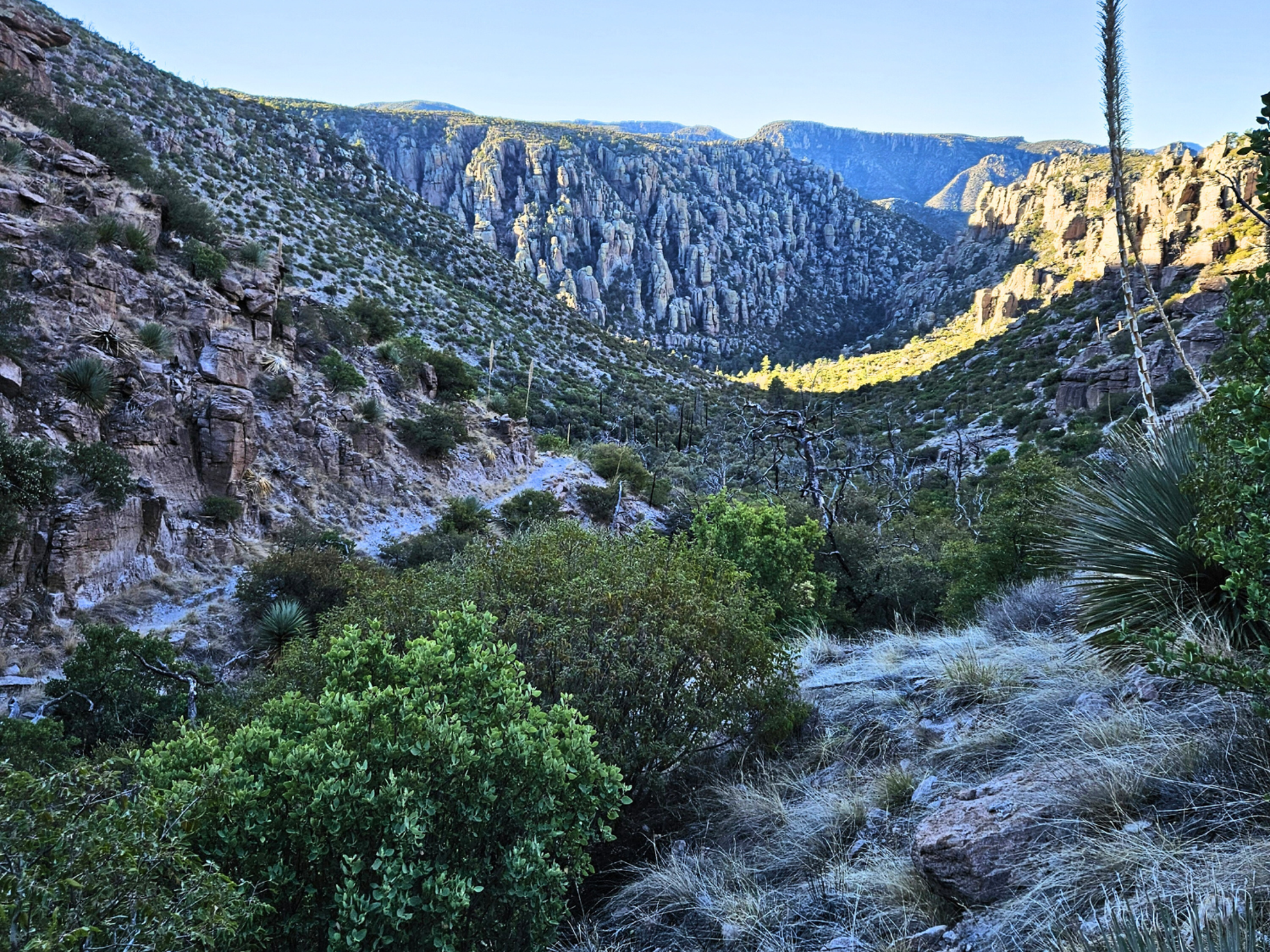 Picture of Desert Melodies: Intro to Birding and Hiking in Arizona Picture of Desert Melodies: Intro to Birding and Hiking in Arizona