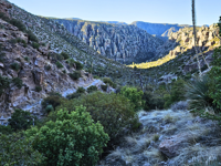 Picture of Desert Melodies: Intro to Birding and Hiking in Arizona Picture of Desert Melodies: Intro to Birding and Hiking in Arizona