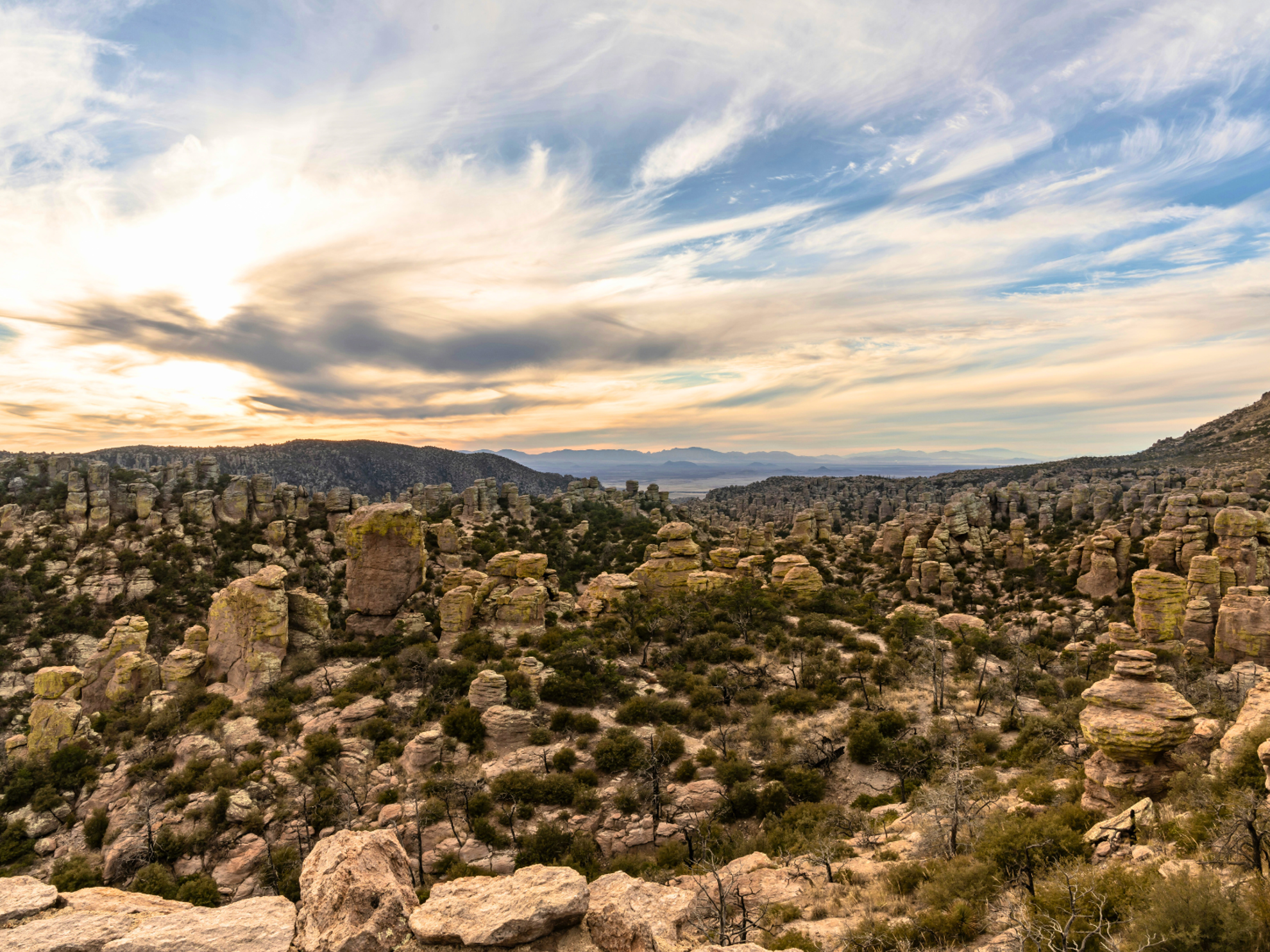 Picture of Desert Melodies: Intro to Birding and Hiking in Arizona Picture of Desert Melodies: Intro to Birding and Hiking in Arizona